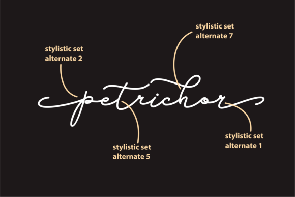 Enhance Your Brand with Petrichor: A Versatile Handwritten Font
