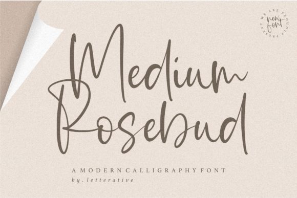 Enhance Your Brand with the Medium Rosebud Font