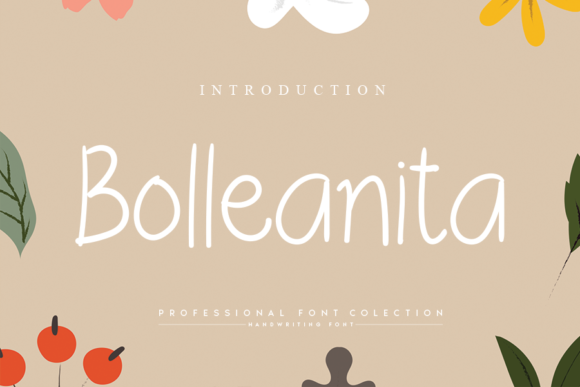 Enhance Your Web Design with Bolleanita Handwritten Font