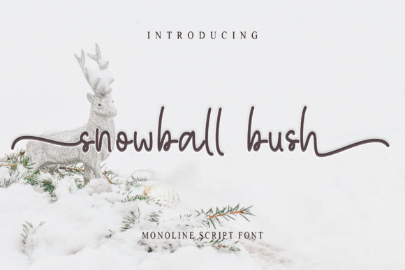 Exploring Snowball Bush: A Charming Handwritten Font
