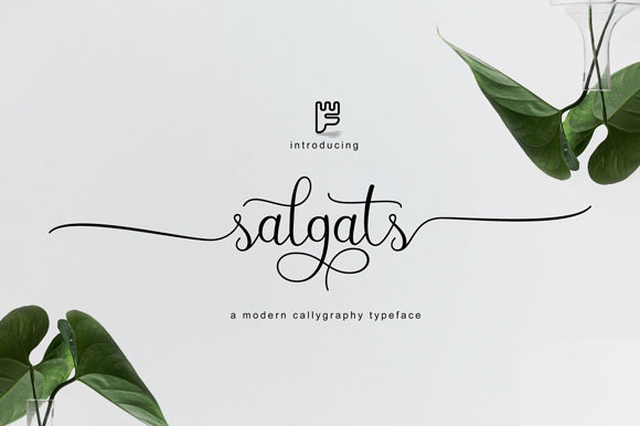 Salgats: A Stylish Script Font for Elegant Web Design